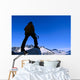 Hiker / Climber Takes In View Wall Mural