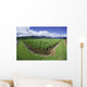Blue Sky And Clouds Wall Mural