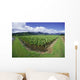 Blue Sky And Clouds Wall Mural