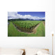 Blue Sky And Clouds Wall Mural