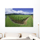 Blue Sky And Clouds Wall Mural