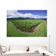 Blue Sky And Clouds Wall Mural