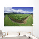Blue Sky And Clouds Wall Mural