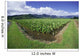 Blue Sky And Clouds Wall Mural