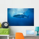 Australia, Great White Shark, White Pointer Sun Rays C2063 Wall Mural