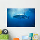 Australia, Great White Shark, White Pointer Sun Rays C2063 Wall Mural