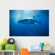 Australia, Great White Shark, White Pointer Sun Rays C2063 Wall Mural
