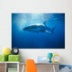 Australia, Great White Shark, White Pointer Sun Rays C2063 Wall Mural