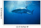 Australia, Great White Shark, White Pointer Sun Rays C2063 Wall Mural