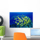 Hawaii, Large School Of Blue Stripe Snappers Over Reef Wall Mural