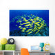 Hawaii, Large School Of Blue Stripe Snappers Over Reef Wall Mural