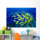 Hawaii, Large School Of Blue Stripe Snappers Over Reef Wall Mural