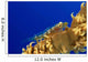 Hawaii, Goby On Wire Coral Wall Mural