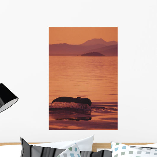 Sunset Orange Sky Reflections Wall Mural