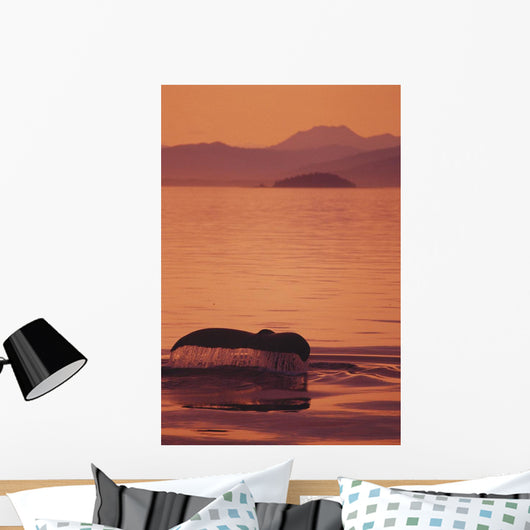 Sunset Orange Sky Reflections Wall Mural