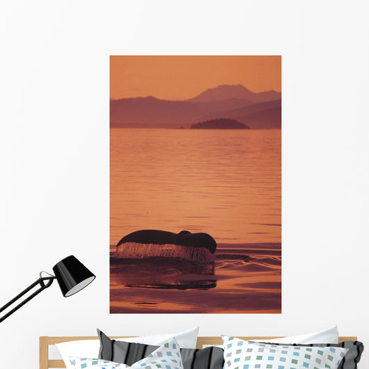 Sunset Orange Sky Reflections Wall Mural