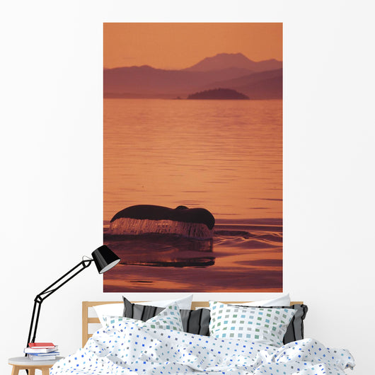 Sunset Orange Sky Reflections Wall Mural