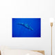 Sunrays Wall Mural