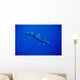 Sunrays Wall Mural