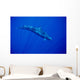 Sunrays Wall Mural