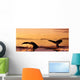 Two Humpback Whale Flukes Close-Up, Sunset Wall Mural