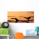 Two Humpback Whale Flukes Close-Up, Sunset Wall Mural