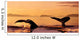 Two Humpback Whale Flukes Close-Up, Sunset Wall Mural
