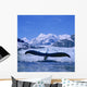 Humpback Whale Lifting Flukes Wall Mural