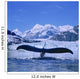 Humpback Whale Lifting Flukes Wall Mural