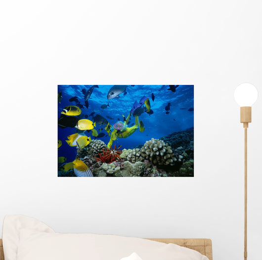 Colorful Fish Wall Mural