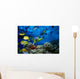 Colorful Fish Wall Mural