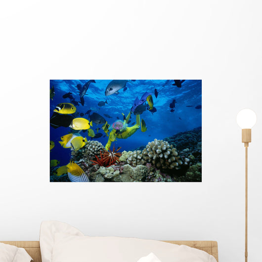 Colorful Fish Wall Mural