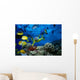 Colorful Fish Wall Mural