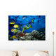 Colorful Fish Wall Mural