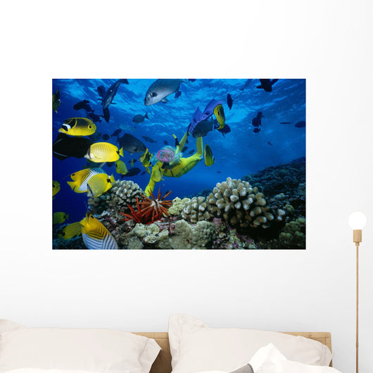 Colorful Fish Wall Mural