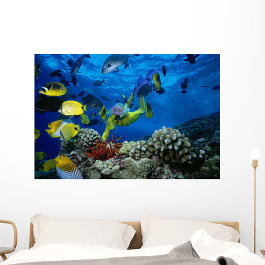 Colorful Fish Wall Mural
