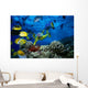 Colorful Fish Wall Mural