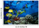 Colorful Fish Wall Mural