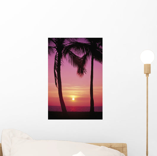 Pink Hues Wall Mural