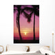 Pink Hues Wall Mural