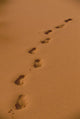 Deep Footprints On Smooth Sand Wall Mural