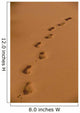 Deep Footprints On Smooth Sand Wall Mural