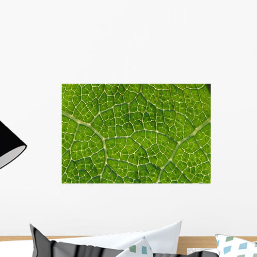 Extreme Close-Up Network Of Leaf Veins, Prickly Rhubarb Wall Mural