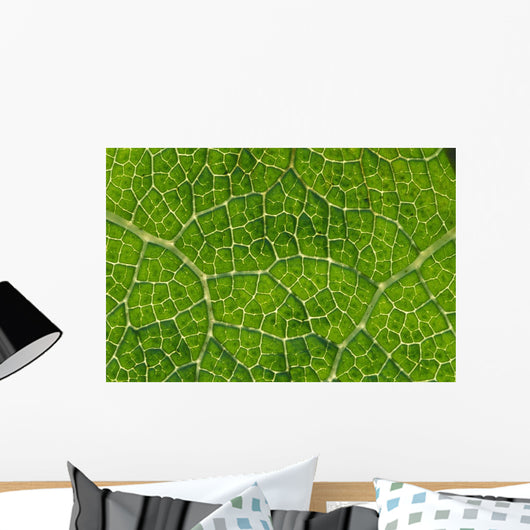 Extreme Close-Up Network Of Leaf Veins, Prickly Rhubarb Wall Mural