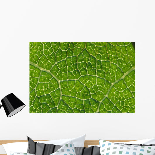 Extreme Close-Up Network Of Leaf Veins, Prickly Rhubarb Wall Mural