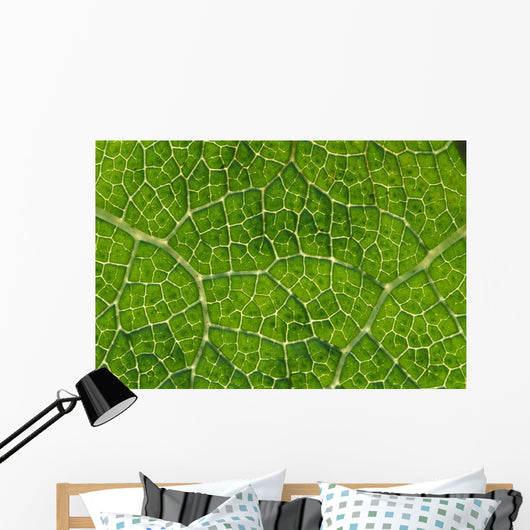 Extreme Close-Up Network Of Leaf Veins, Prickly Rhubarb Wall Mural