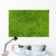 Extreme Close-Up Network Of Leaf Veins, Prickly Rhubarb Wall Mural