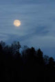 Lever Lune Wall Decal