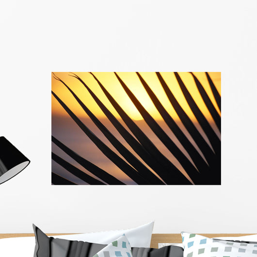 Close-Up Detail Palm Fronds Silhouetted Against Golden Sunset Skies Wall Mural
