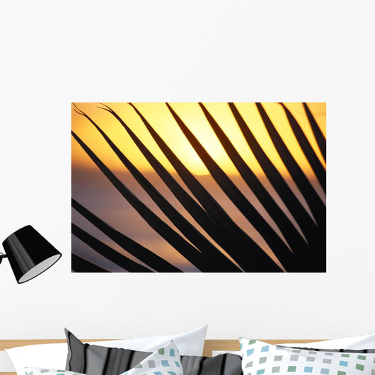 Close-Up Detail Palm Fronds Silhouetted Against Golden Sunset Skies Wall Mural
